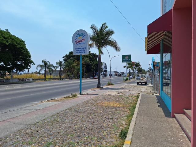 Foto de la galeria de imagenes